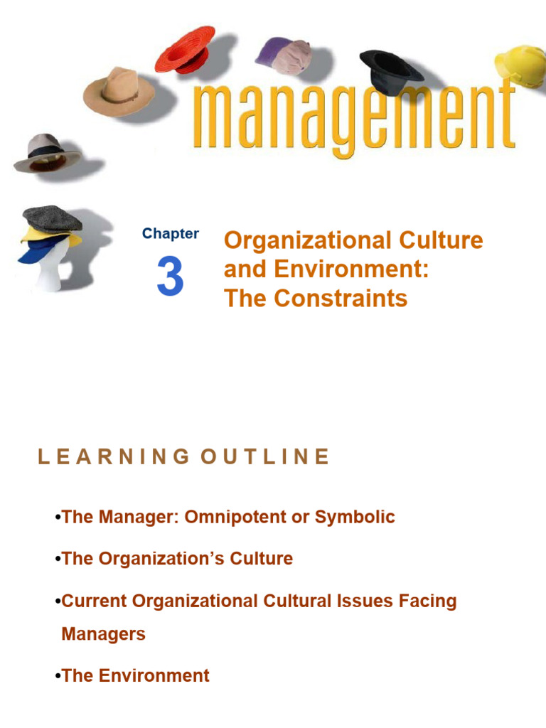 Understanding Organizational Culture and Environment | PDF ...