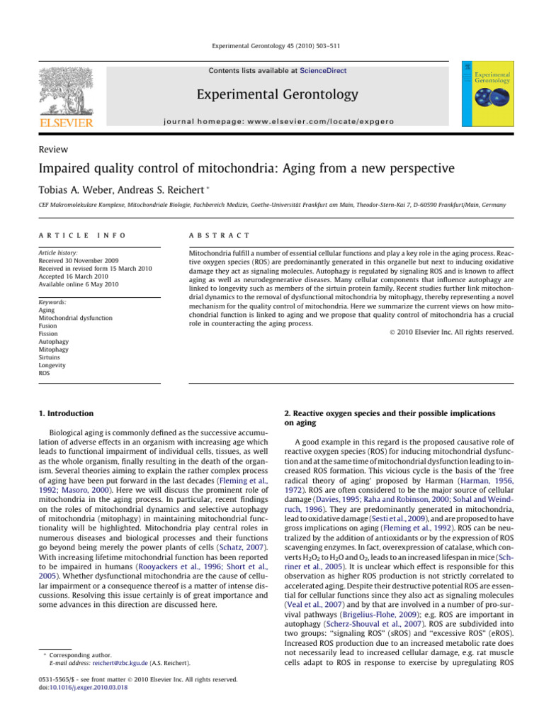 Mitochondrial Dysfunction and Aging | PDF | Autophagy | Mitochondrion