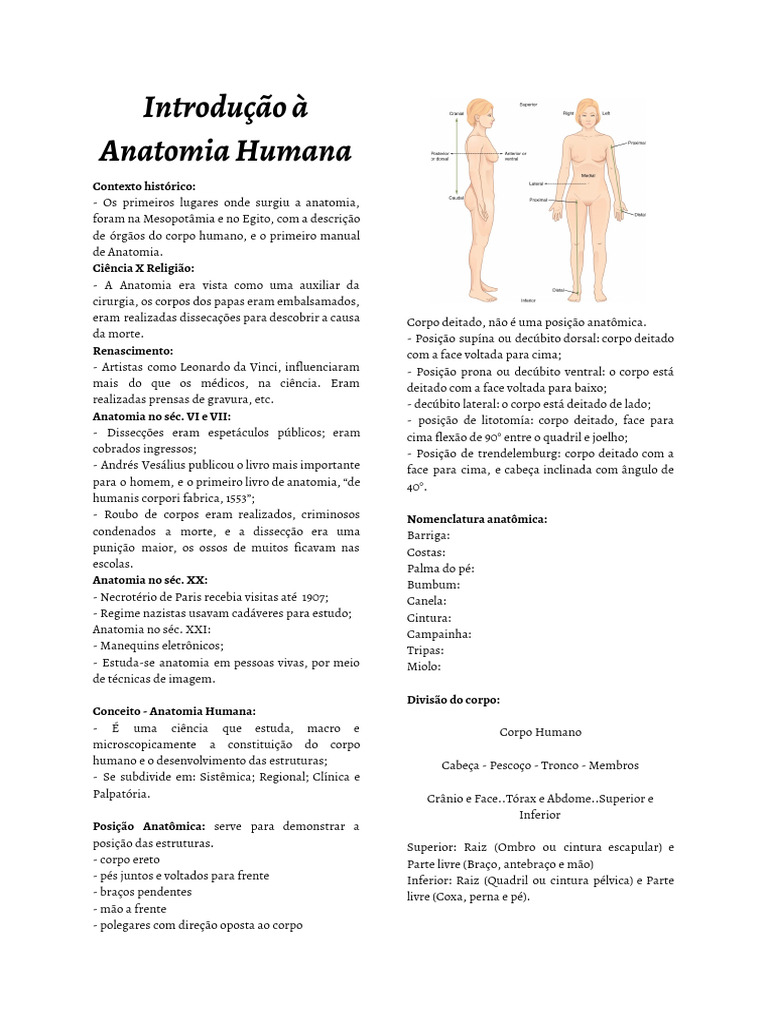 História e Conceitos de Anatomia Humana | PDF | Corpo humano | Anatomia