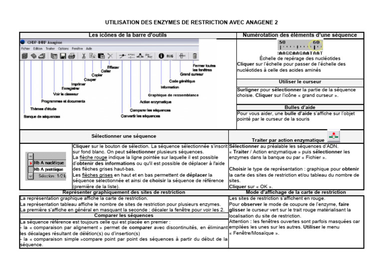 Enzymes de restriction avec Anagene 2 | PDF | Curseur (interface) | Enzyme