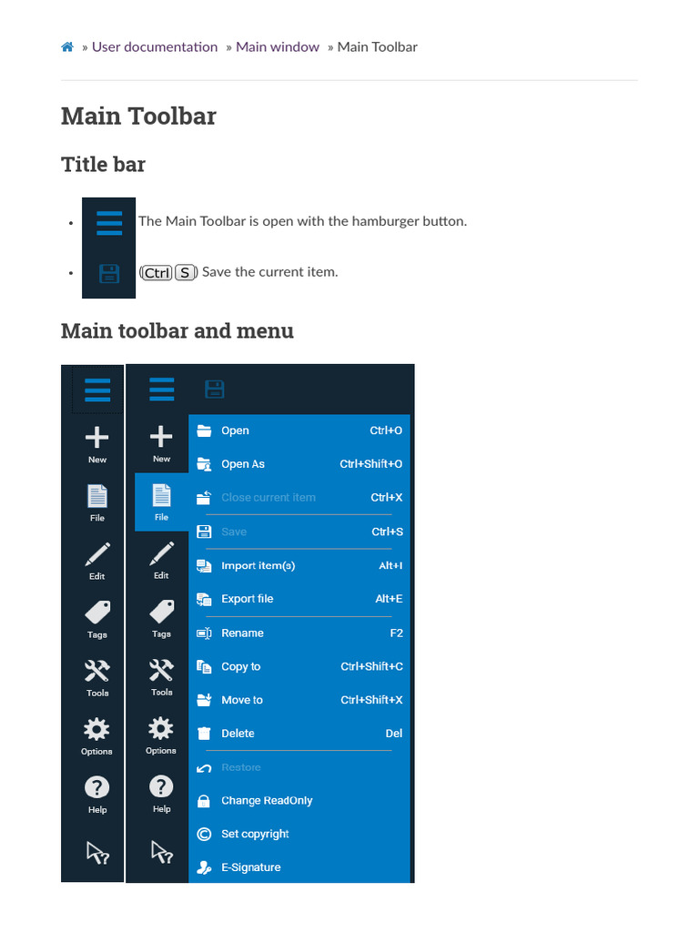Main Toolbar Overview and Features | PDF