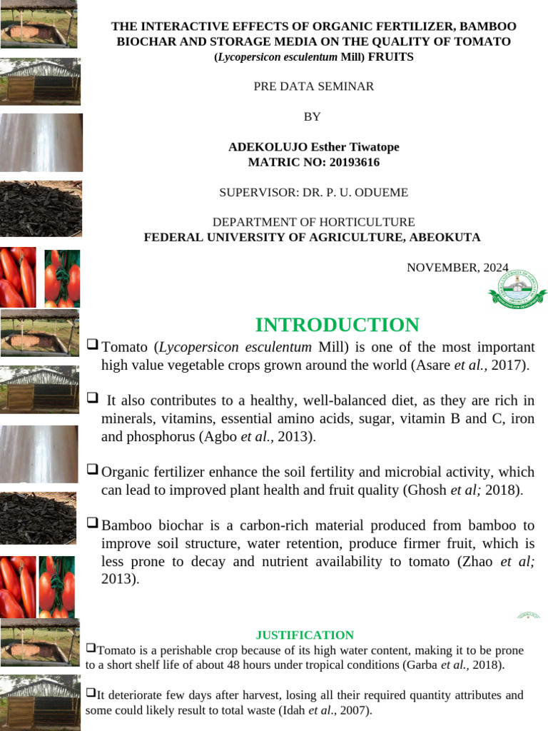 Effects of Organic Fertilizer on Tomato Quality | PDF | Tomato ...