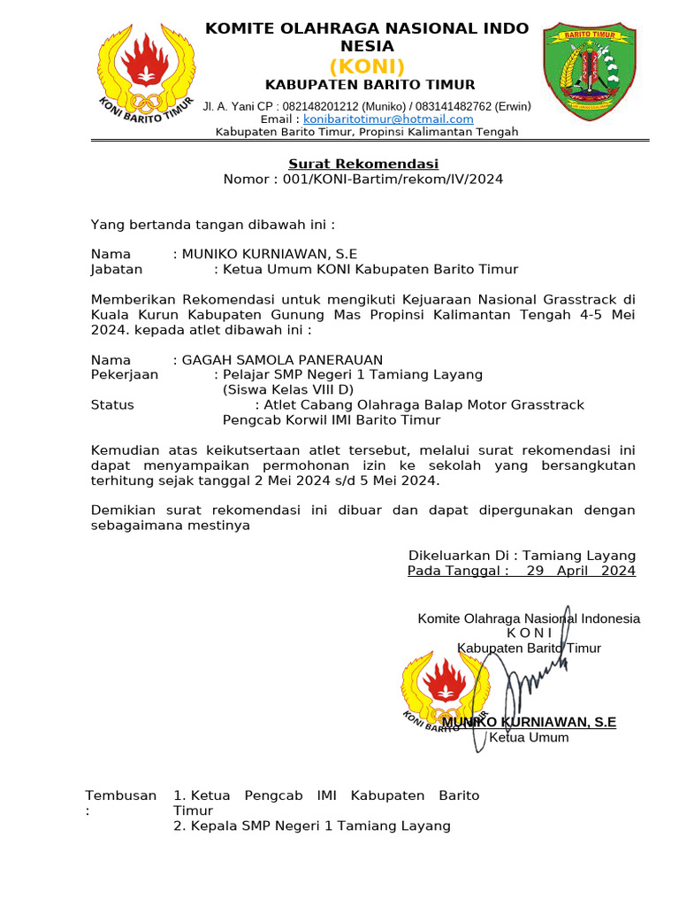 Ayol mushukining yaqindan korinishi