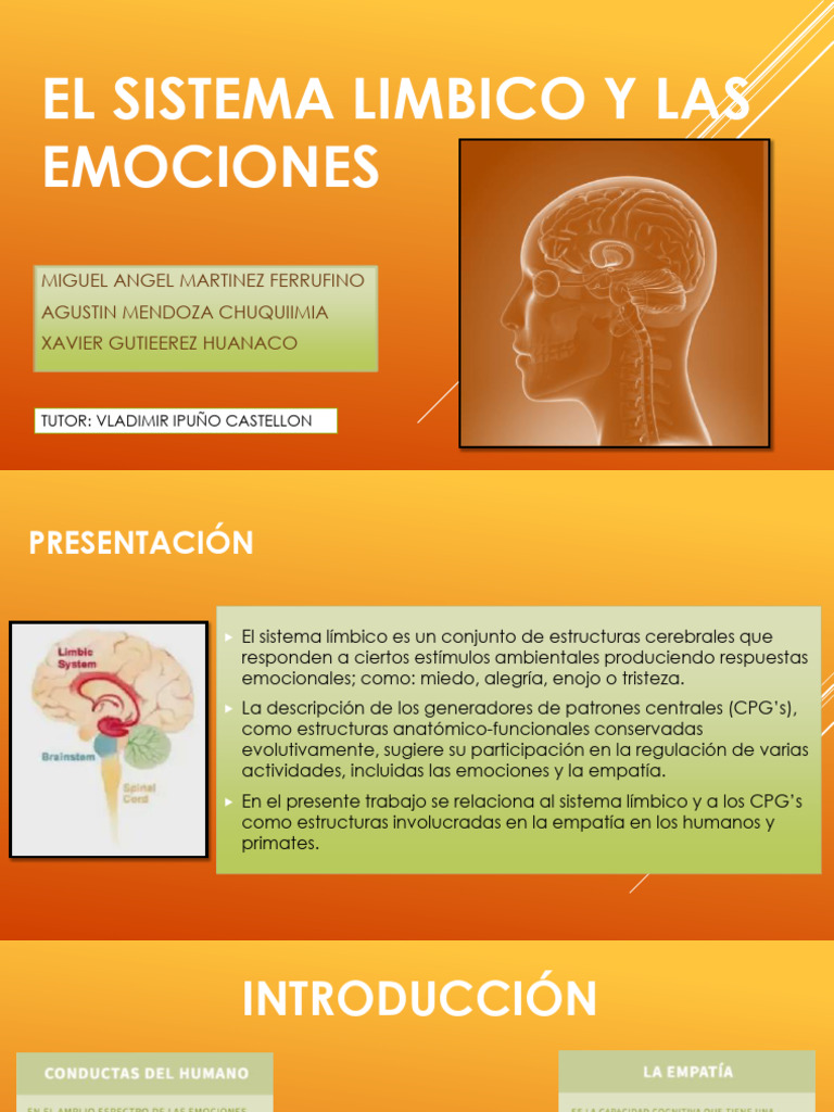 Sistema Límbico y Emociones Humanas | PDF | Las emociones | Sistema límbico