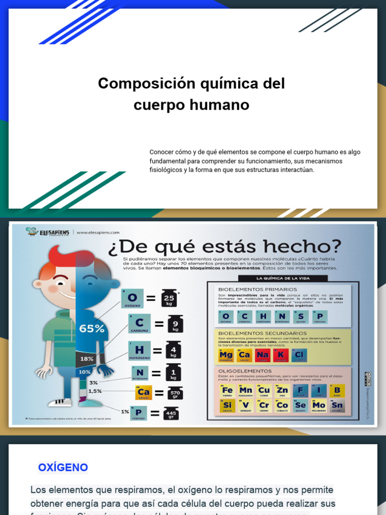 Elementos Esenciales del Cuerpo Humano | PDF | Cuerpo humano | Sodio