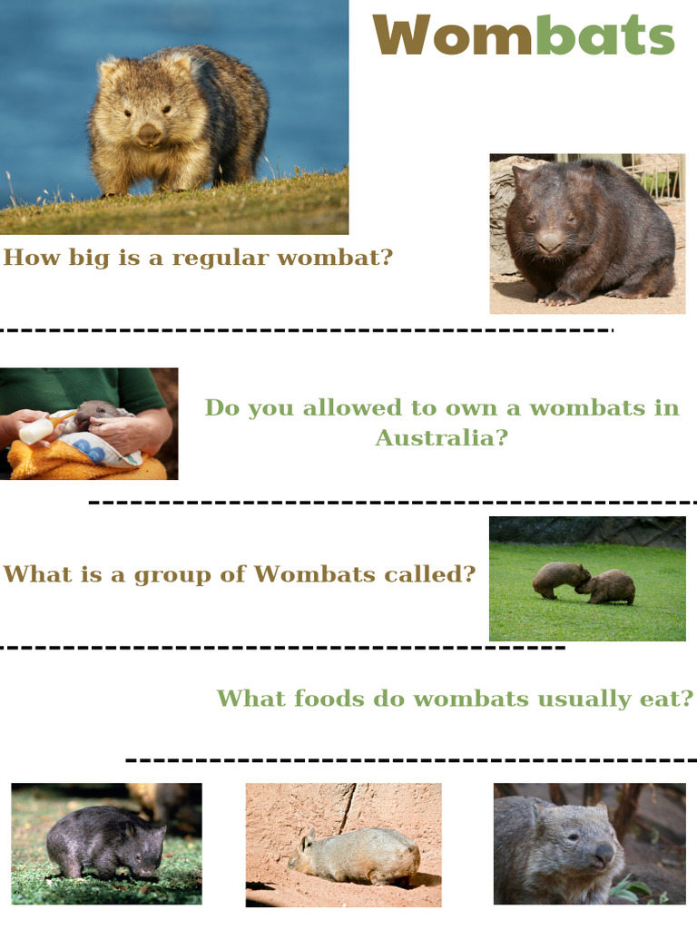 Wombats | PDF