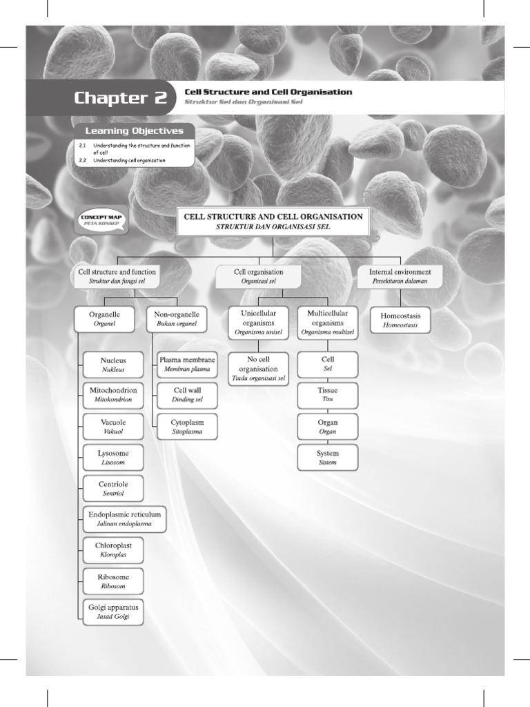 05 Chapter 2 Cell Structure and Cell Organisation - BLANK | PDF