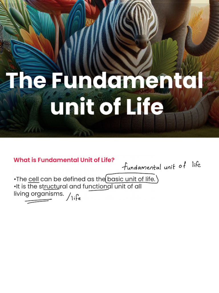 Understanding Cell Structure and Function | PDF | Cell (Biology) | Osmosis