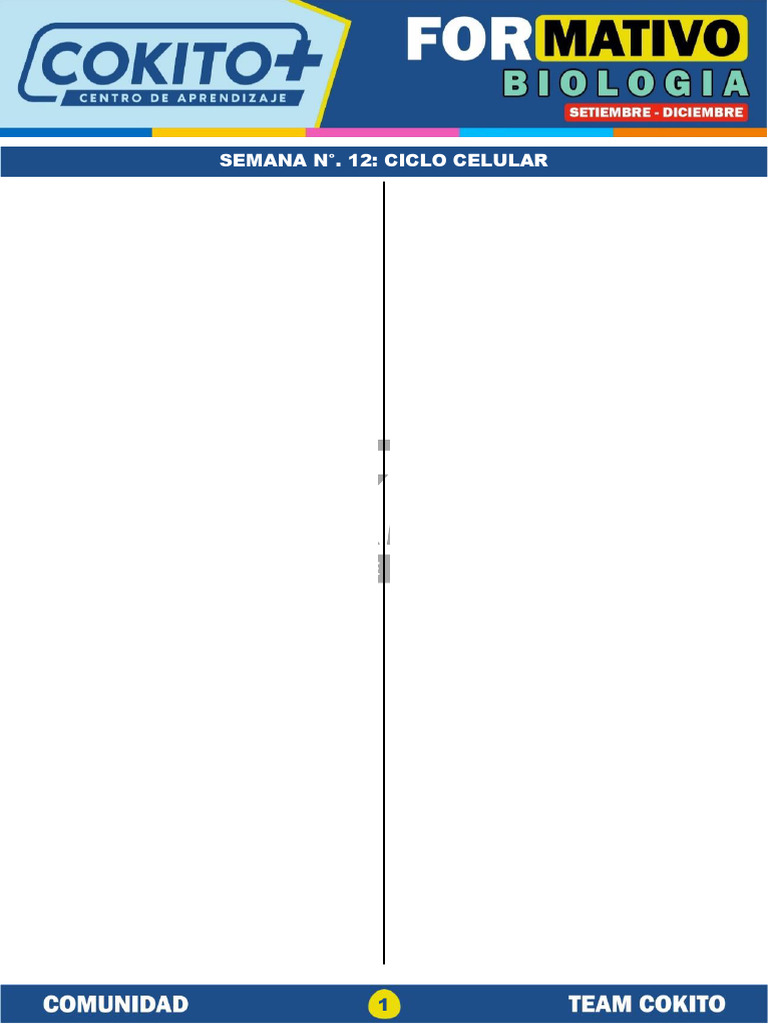 Sem 12 | PDF | Mitosis | Mitosis