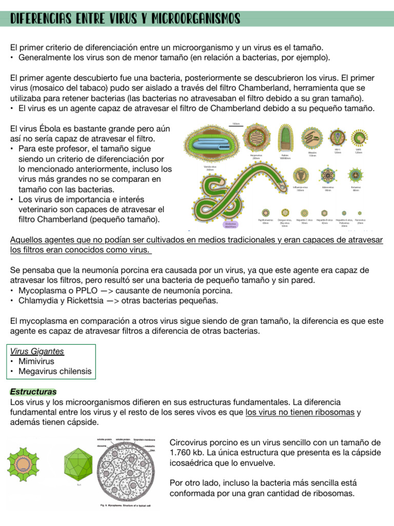 Diferencias entre virus y microorganismos | PDF | Virus | Las bacterias