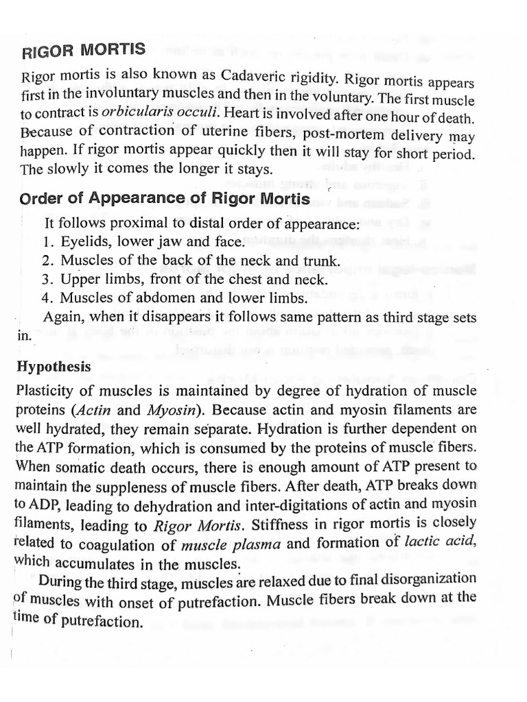 Rigor Mortis & Other Stiffness | PDF