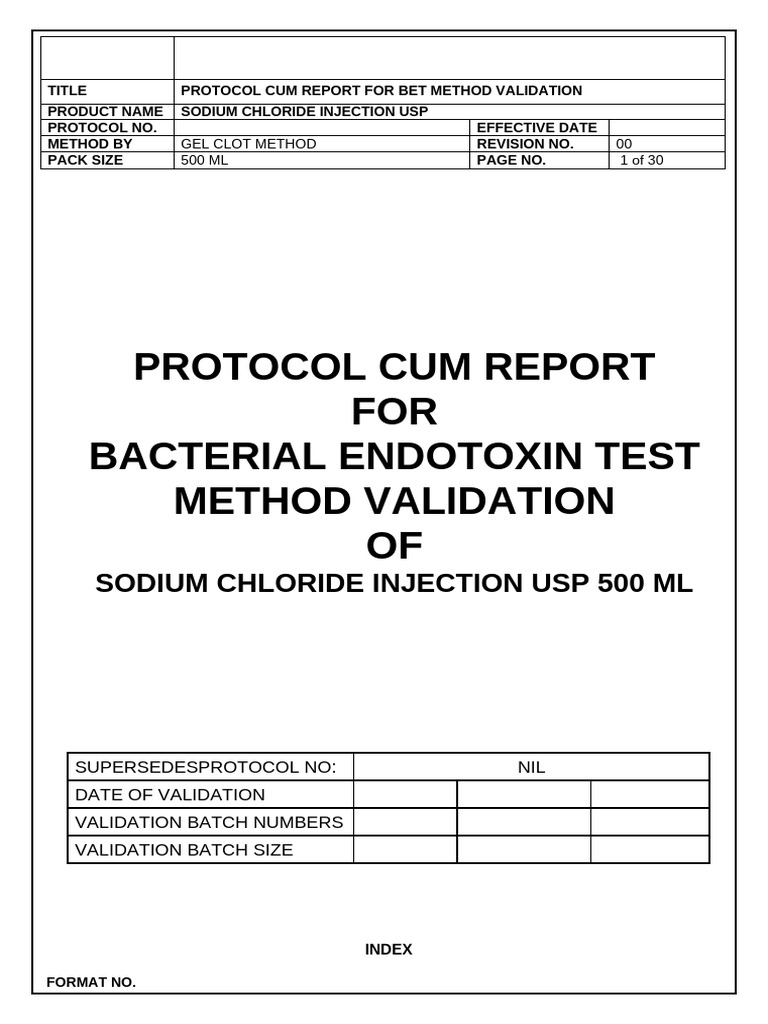 02 validation protocol cum report of sodium chloride injection 500 ml