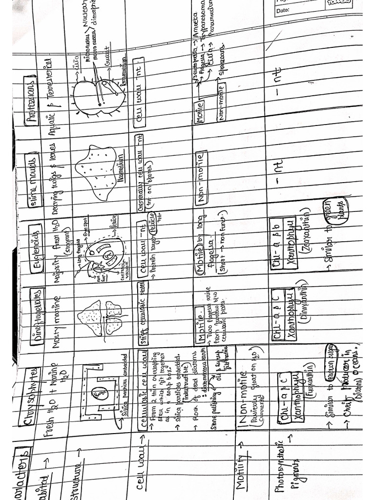 DocScanner Sep 3, 2024 5-47 AM | PDF