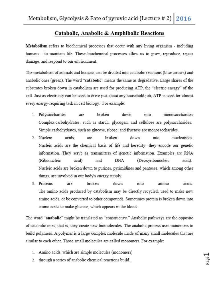 Catabolic and Anabolic Pathways Explained | PDF | Glycolysis | Cellular ...