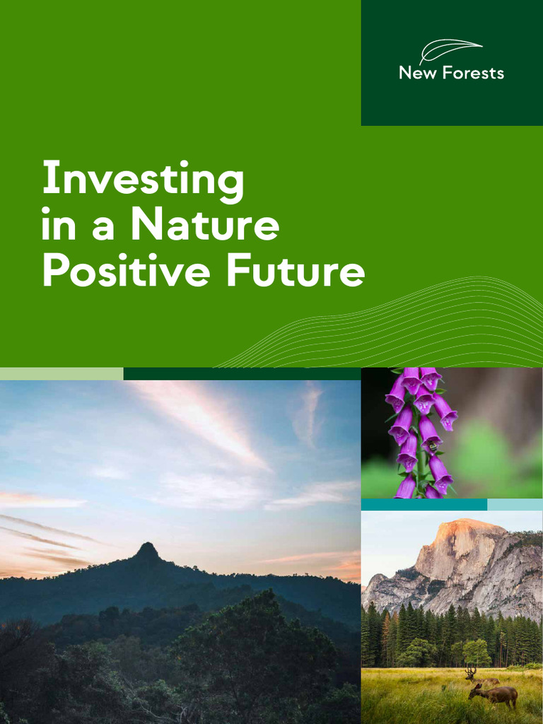 Nature Positive Investment Strategies | PDF | Conservation Biology ...