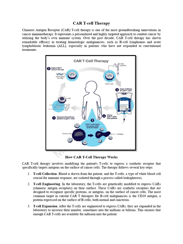 CAR-T Gene Therapy-3 | PDF | T Cell | Medical Specialties