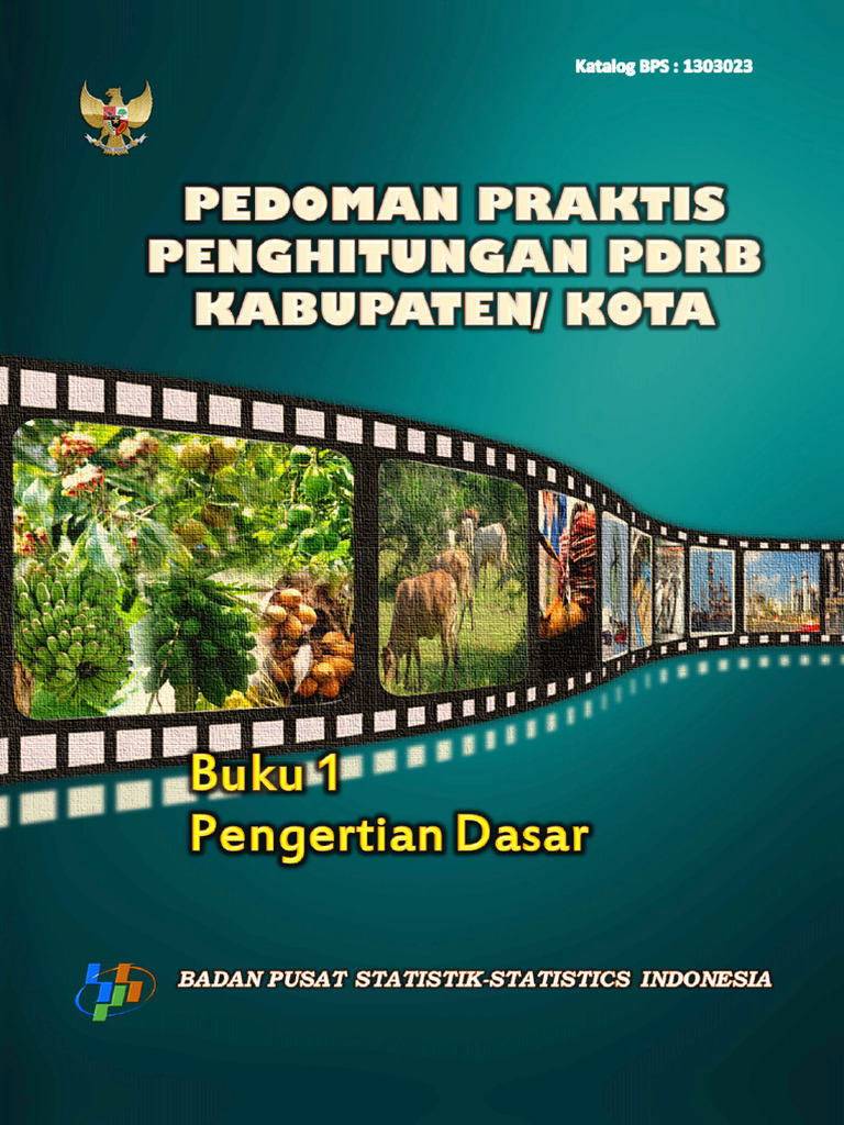 Pedoman PDRB Kabupaten/Kota 2010 | PDF