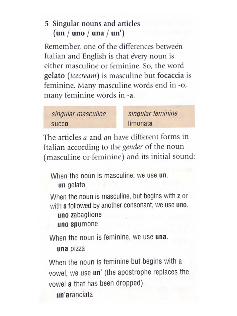 5 Singular Nouns And Articles Pdf