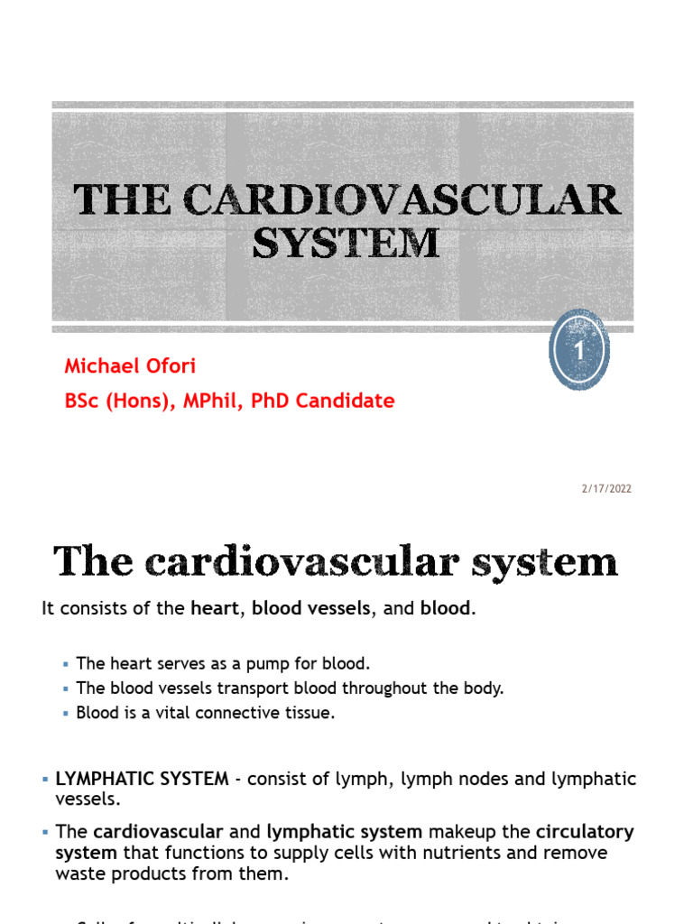 The Cardiovascular System | PDF | Heart Valve | Heart