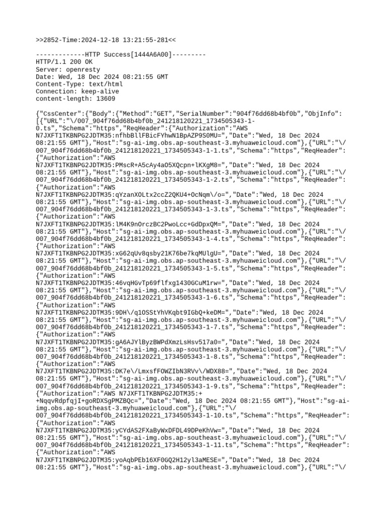 AWS Authorization HTTP Success Logs | PDF