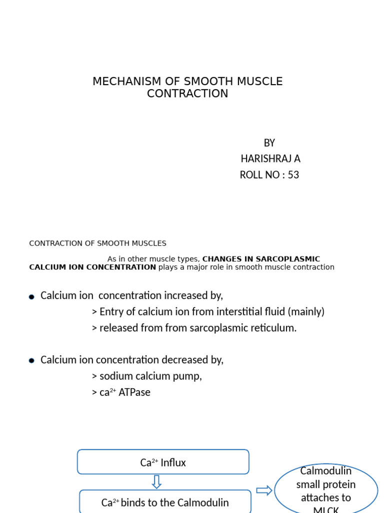 Mechanism of Smooth Muscle Contraction | PDF