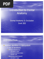 Download Introduction to Dental Anatomy by dentalA5455 SN80661909 doc pdf