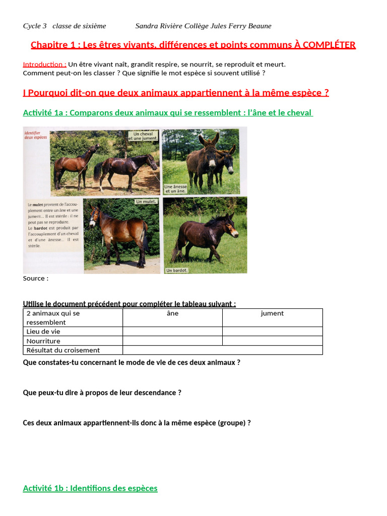 Classification des êtres vivants en 6ème | PDF | Cellule (Biologie ...