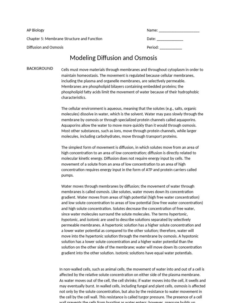 Modeling Diffusion and Osmosis in Cells | PDF | Osmosis | Cell Membrane