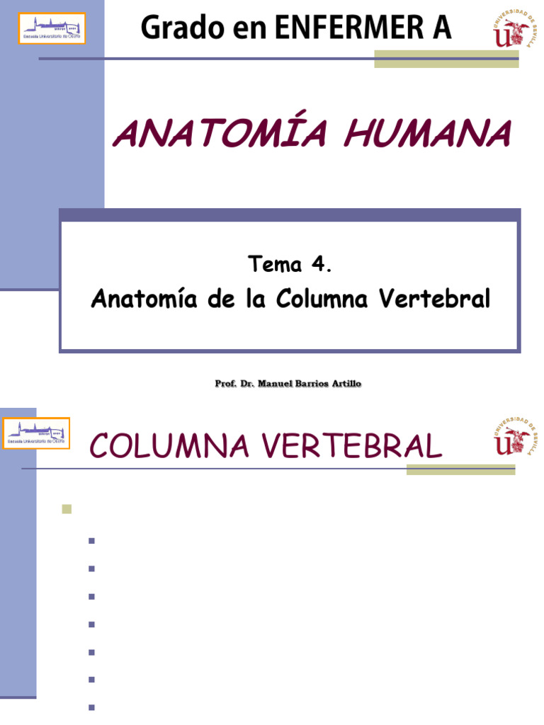 Anatomía de la Columna Vertebral | PDF | Vértebra | La columna vertebral