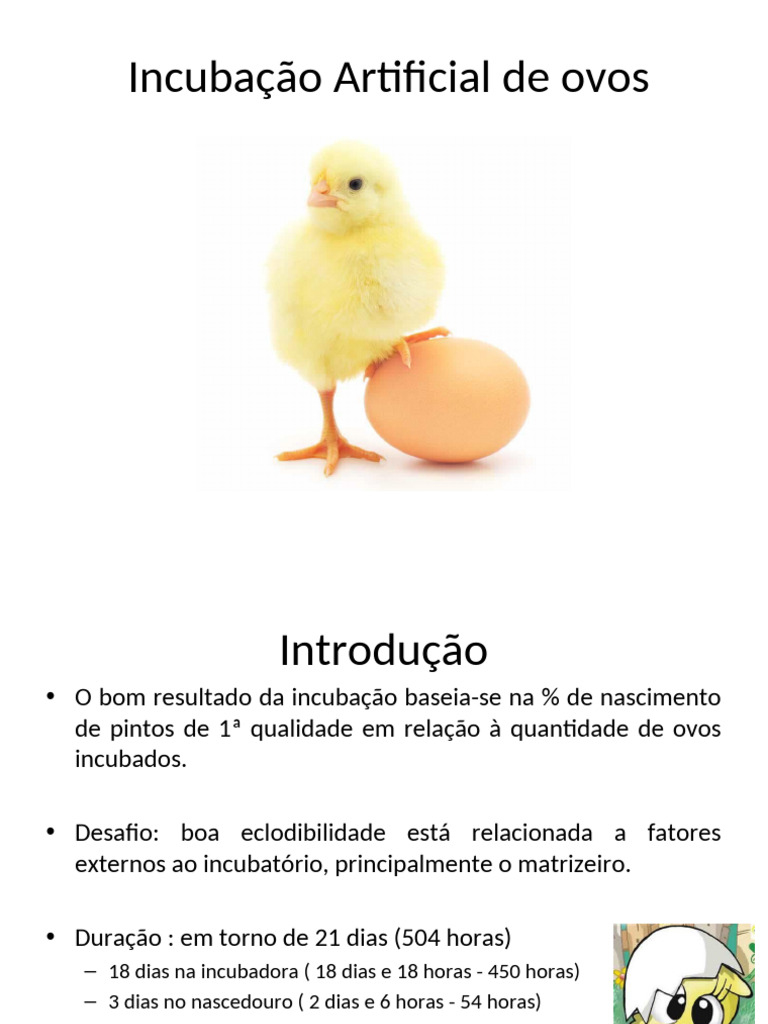 Manejo da Incubação Artificial de ovos | PDF | Ovo | Reprodução