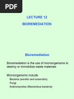 Download Lecture 12 by Daisy SN8066691 doc pdf
