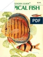 Tropical Fish - A Golden Guide