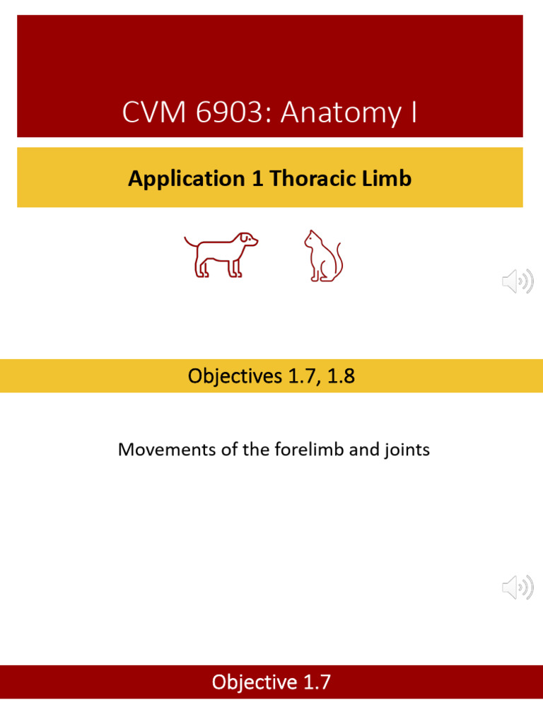 App+1+Video+4 Obj+1.7-8 Movements | PDF