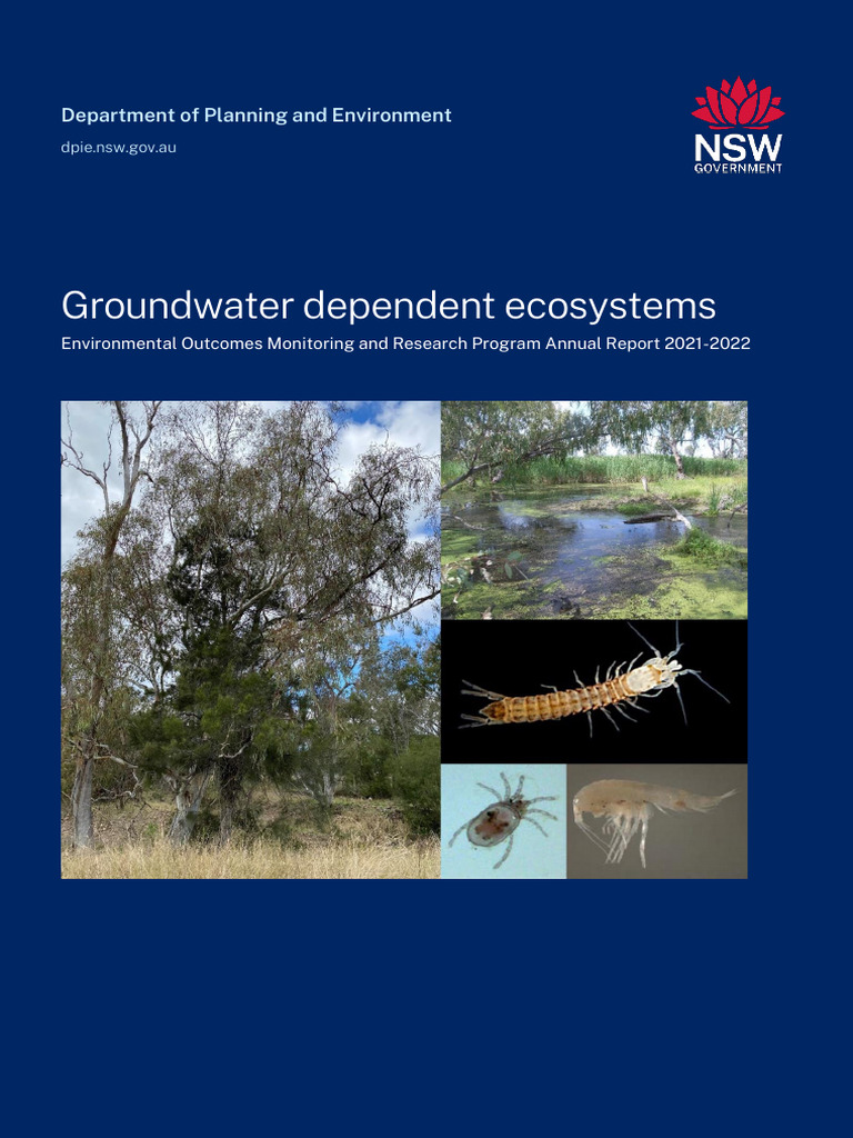 Groundwater Dependent Ecosystems - Environmental Outcomes Monitoring ...