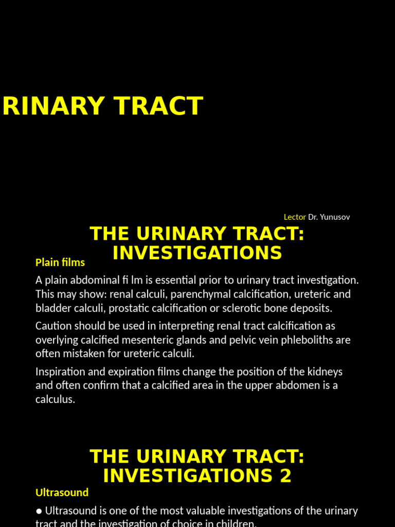 Urinary tract | PDF | Kidney | Clinical Medicine