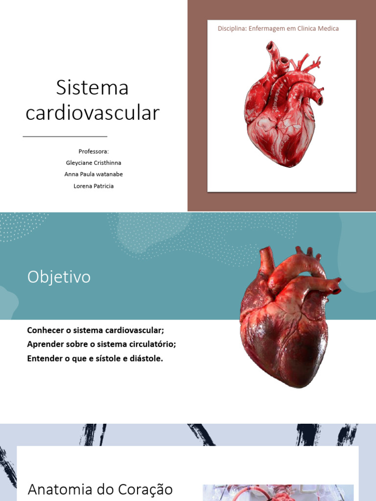 Anatomia do Sistema Cardiovascular | PDF | Coração | Átrio (coração)