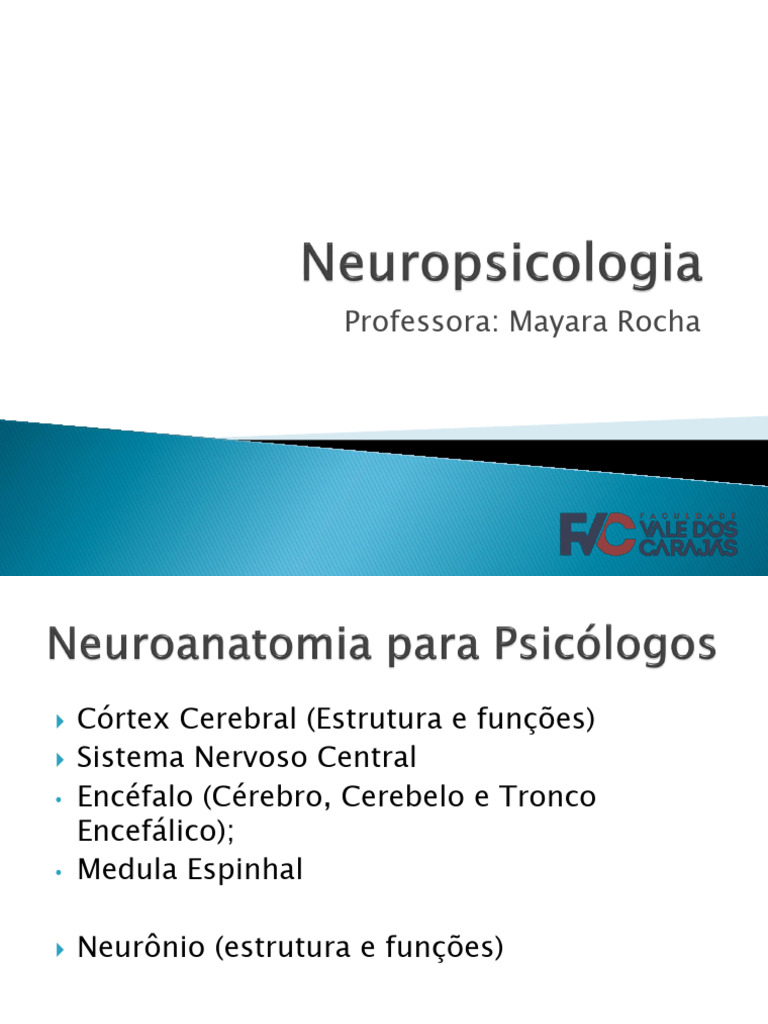 Aula 03 Neuro | PDF
