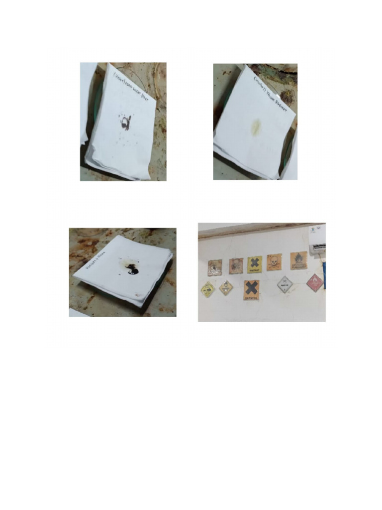 New Docx Document 1 Pdf