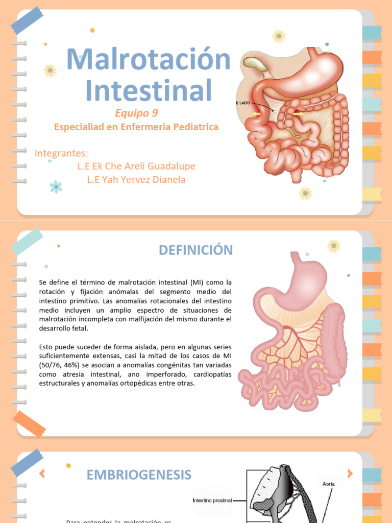malrotacion-intestinal-pdf-tracto-gastrointestinal-abdomen