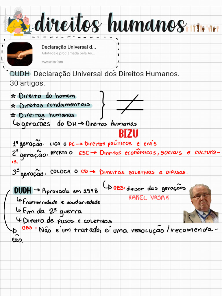 Declaração Universal Dos Direitos Humanos-Resumo | PDF