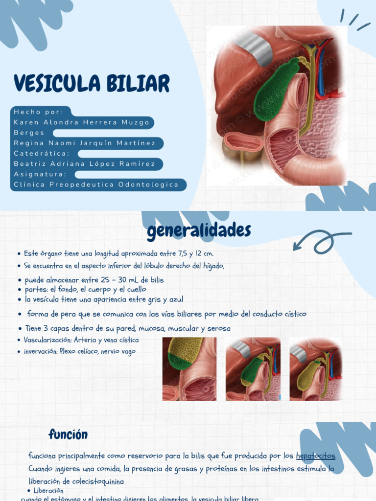 Exploración de la Vesícula Biliar | PDF | Vesícula biliar | Bilis