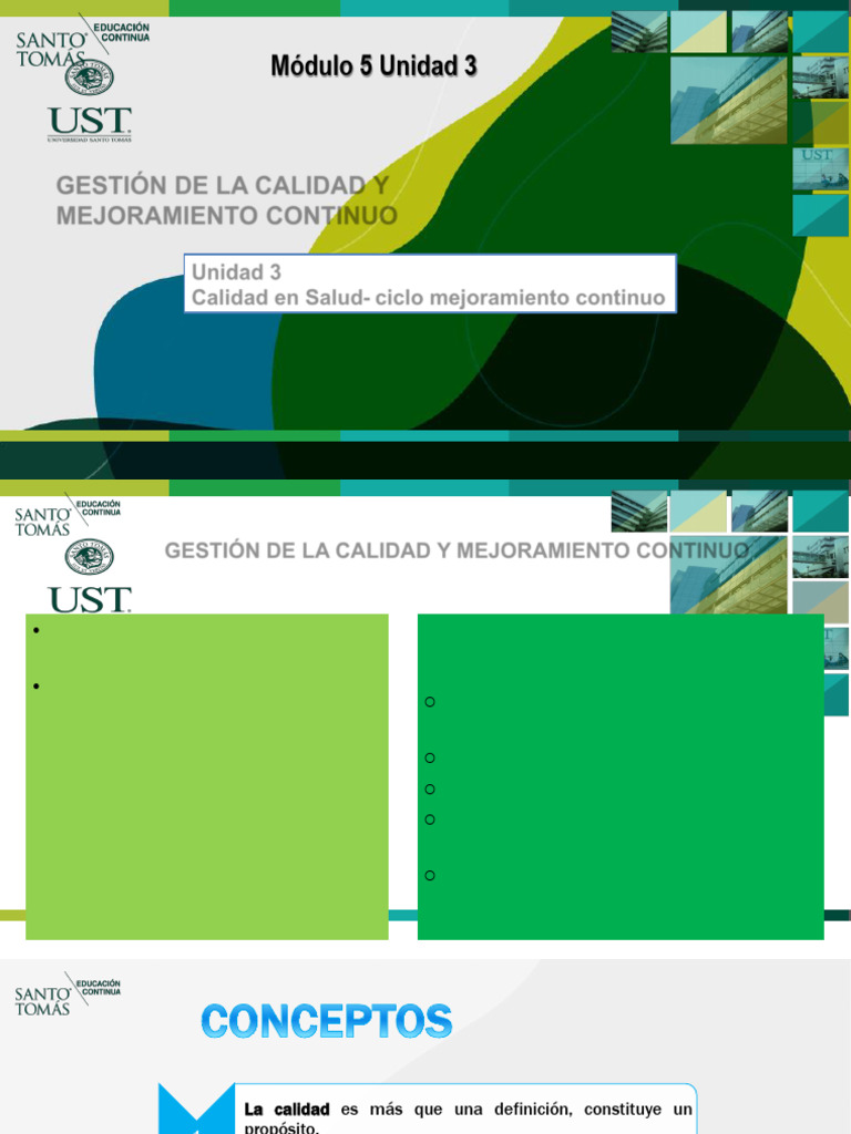 Unidad 3 Gestión de La Calidad y Mejoramiento Continuo - DGS - V1 2024 ...