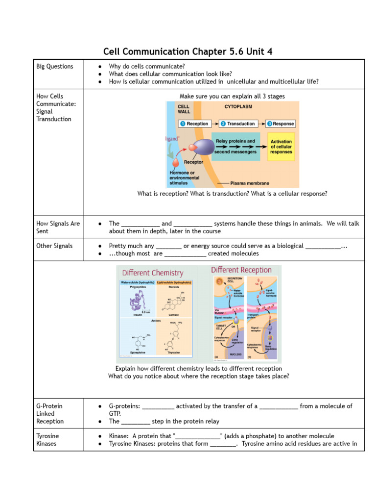 Cell Communication 5.6 Unit 4 | PDF | Cell Signaling | Signal Transduction