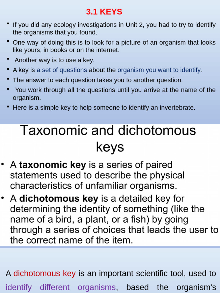 3.1 Keys | PDF | Sheep | Dna