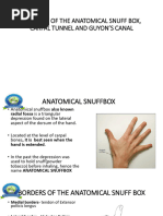 Anatomy and Contents of the Snuffbox | PDF