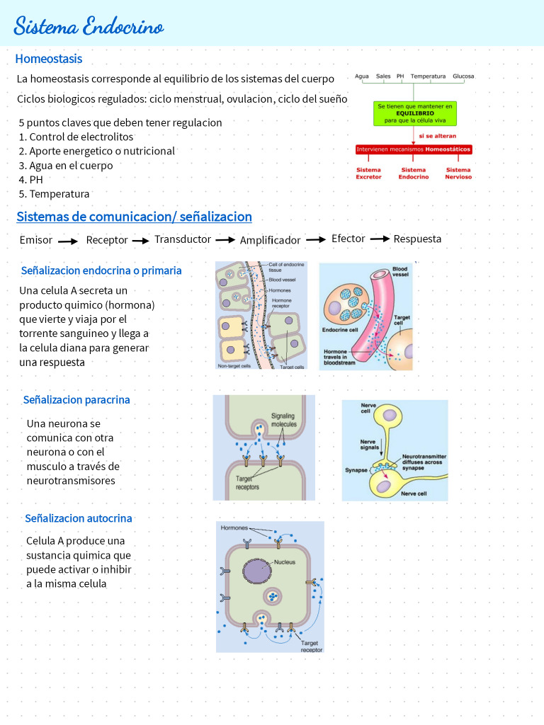Solemne 3 Fydo Clase 1 | PDF