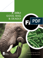 E. Coli:: Good, Bad, & Deadly