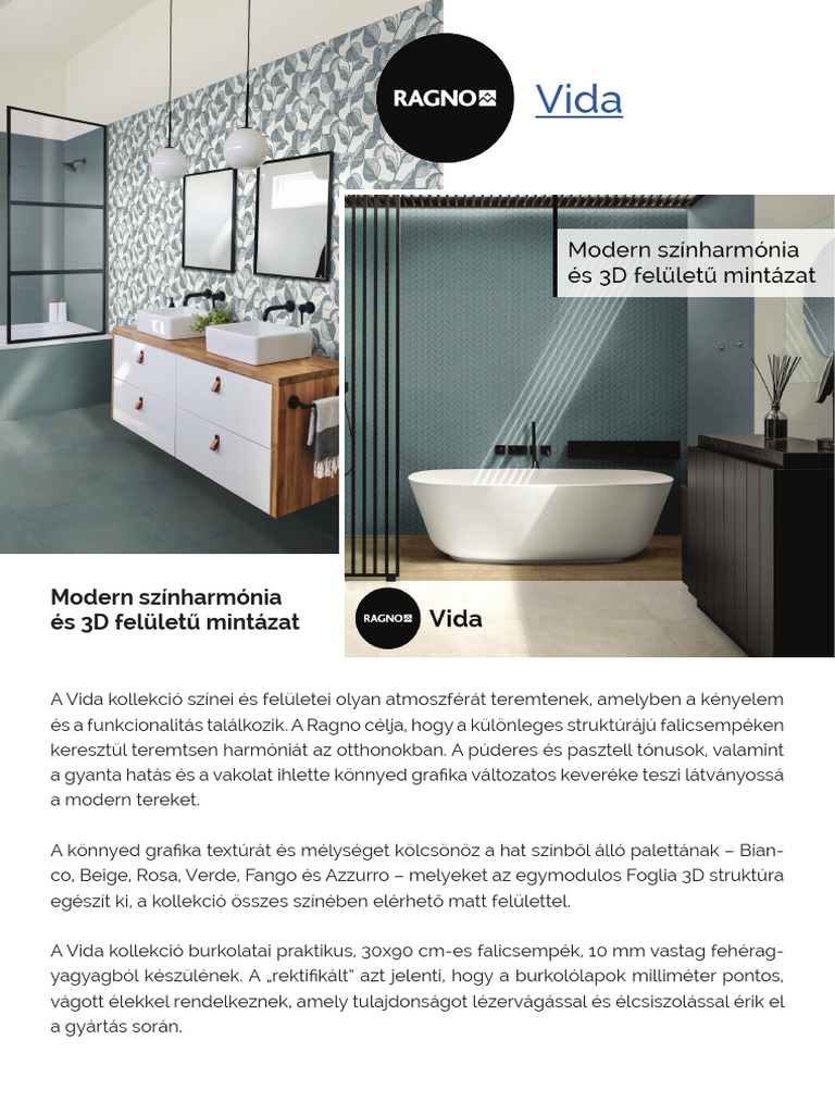 Blog Ragno - Vida | PDF