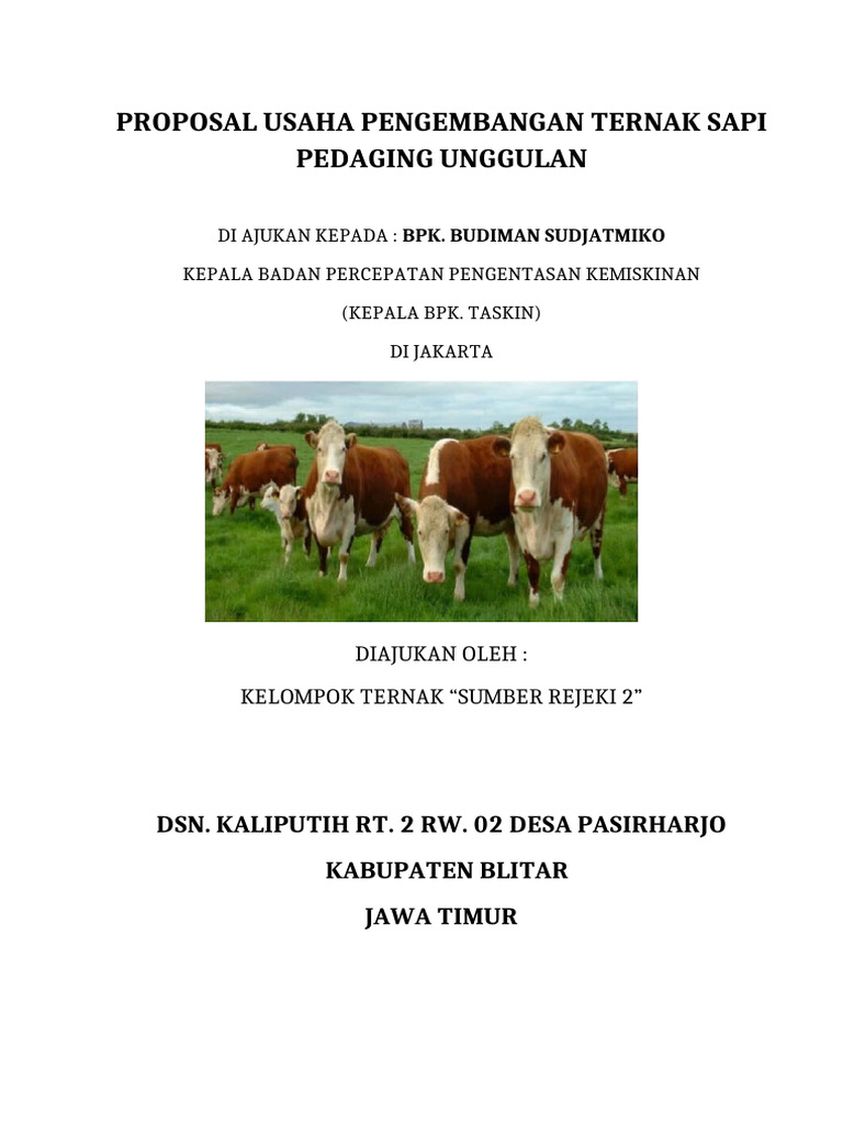 Proposal Usaha Ternak Sapi Pedaging | PDF