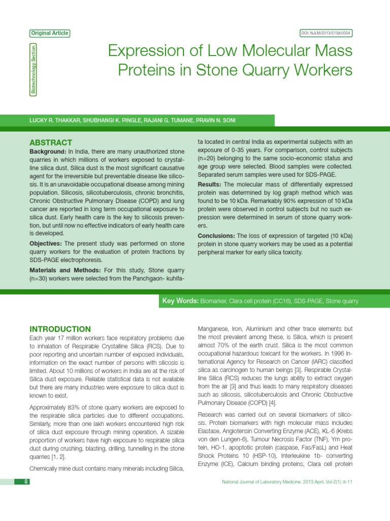 Low Molecular Mass Proteins in Quarry Workers | PDF | Biochemistry ...